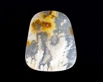 Graveyard Point Plume Agate cabochon.