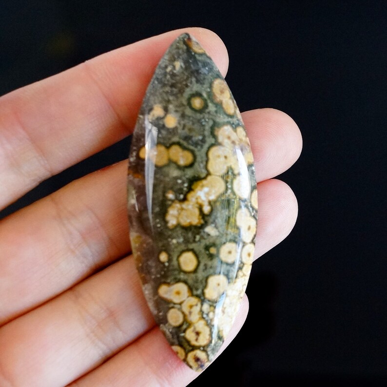 Orbicular Ocean jasper cabochon. 65x25x12mm Etsy