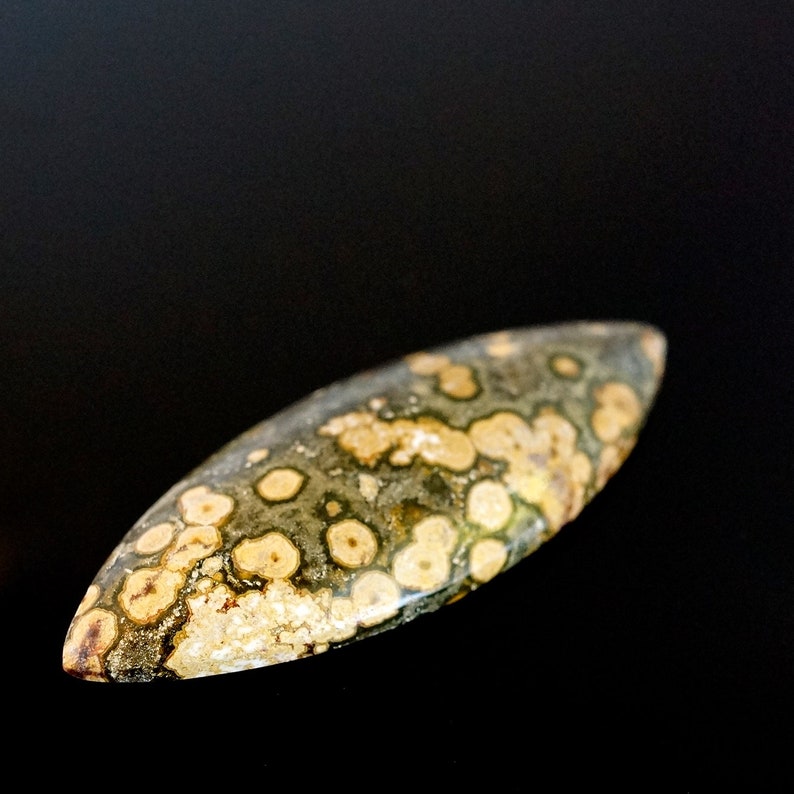 Orbicular Ocean jasper cabochon. 65x25x12mm Etsy