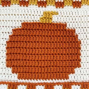 May include: A crocheted pumpkin with an orange body and a yellow stem. The pumpkin is surrounded by a white crocheted background with a checkered pattern of orange, white, and yellow.