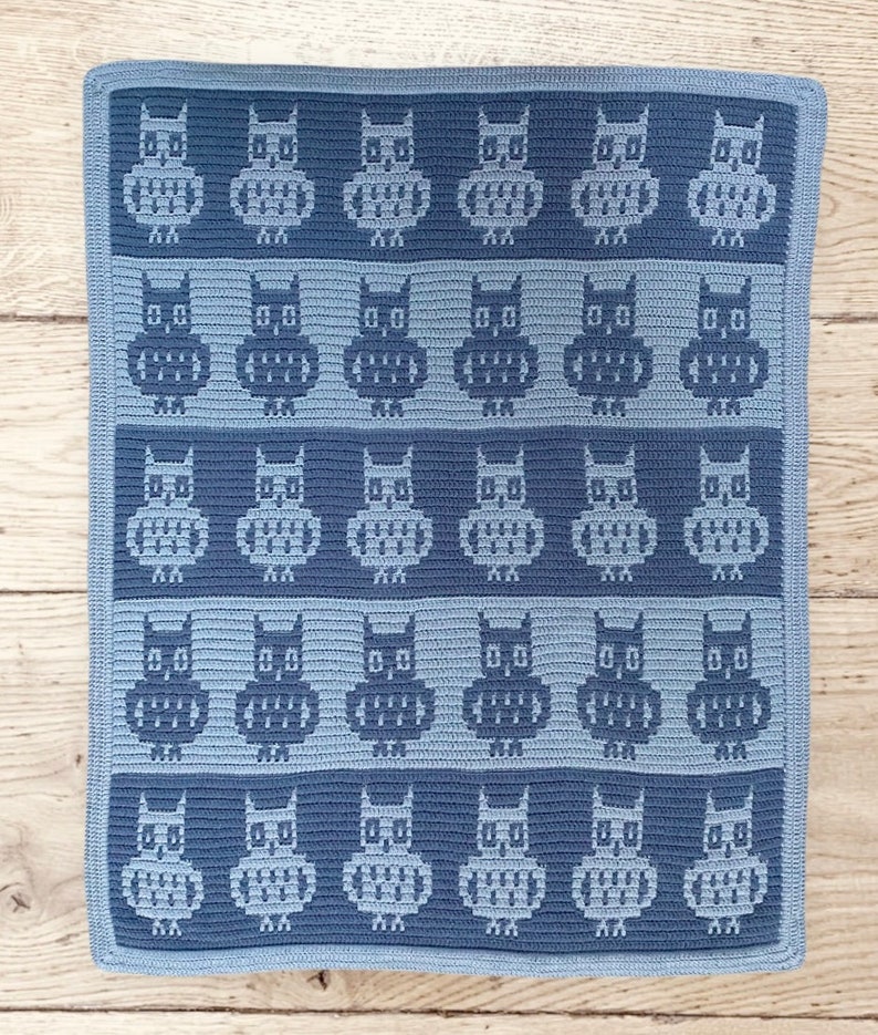 May include: A crocheted baby blanket with a pattern of owls in shades of blue. The blanket is made with a soft, textured yarn and is perfect for cuddling.