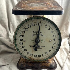 Americana Family Scale - Etsy