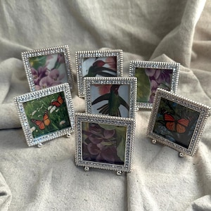 May include: A collection of small, square silver picture frames with beaded edges. Each frame holds a different image, including butterflies, flowers, and hummingbirds. The frames are displayed on a neutral-colored fabric.