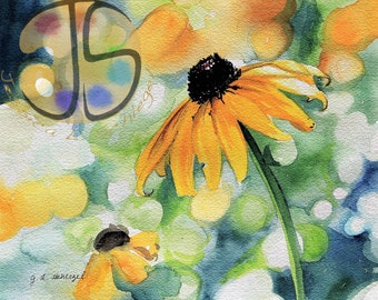 Black-Eyed Susan