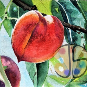 Peaches