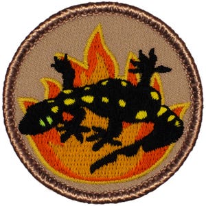 May include: Embroidered patch featuring a black salamander with yellow spots, set against a backdrop of orange and yellow flames. The salamander is centered within a tan circle, bordered by a brown stitched edge. The patch is a circular design.