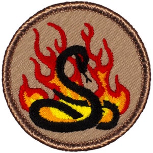 May include: A black snake with yellow and orange markings is coiled in a circle surrounded by red and orange flames. The image is on a brown background with a brown stitched border.