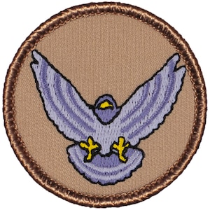 Nighthawk Patch – 2 Inch Diameter Embroidered Patch