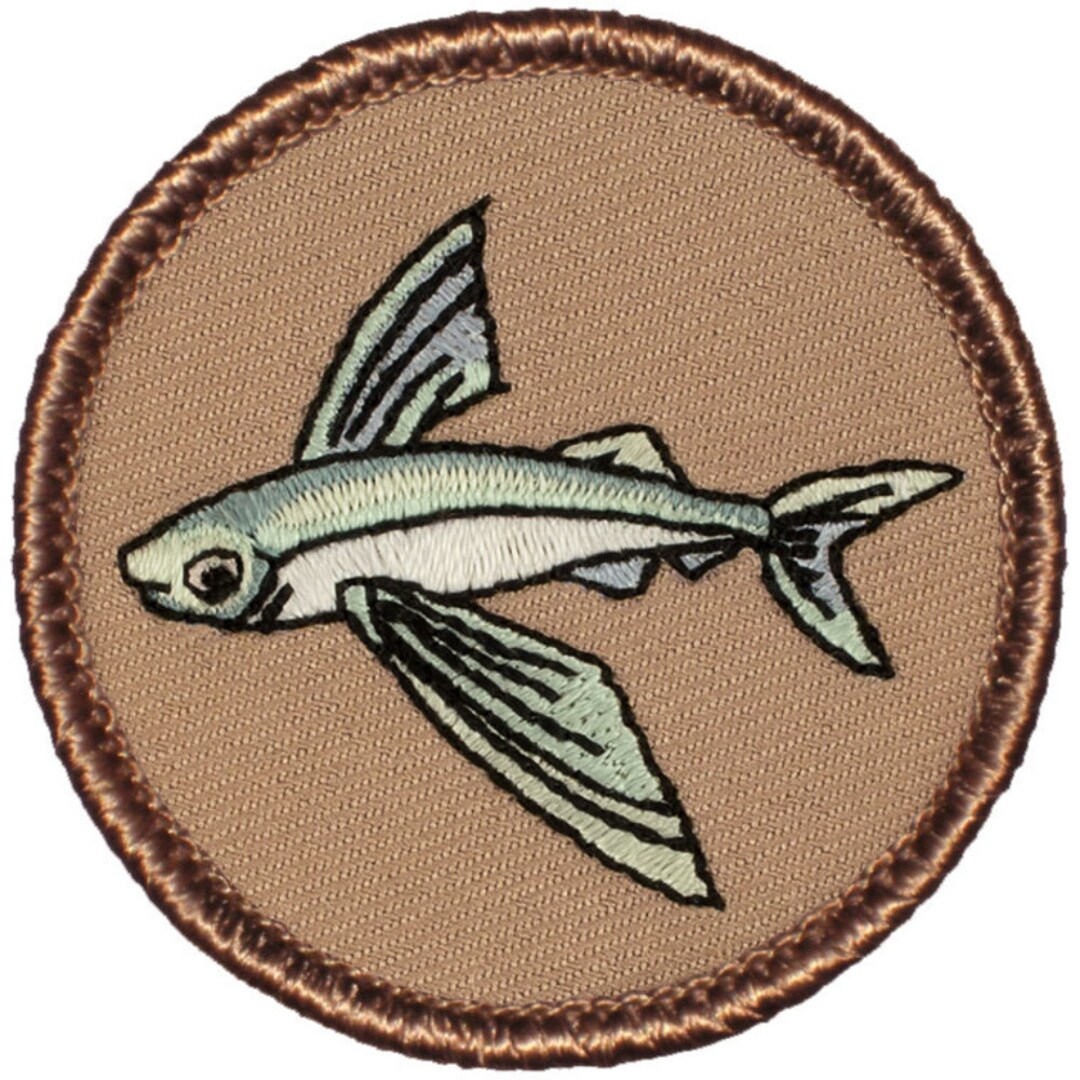 DIY Embroidery Patches Merit Badges - Ivy's First Fish Patch! - Making  Things is Awesome