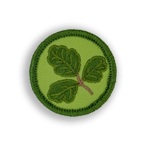 Poison Oak Demerit Badge - 1.5&quot; Diameter Embroidered Patch