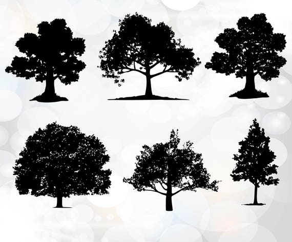 Download Tree Silhouette SVG files Tree SVG Cutting Templates for ...