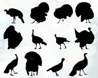 Turkey Svg files - Cuttable Design SVG, DXF, EPS - Silhouette Studio & Cricut - Thanksgiving Vector Art - Vinyl Digital Cutting - Cut Files