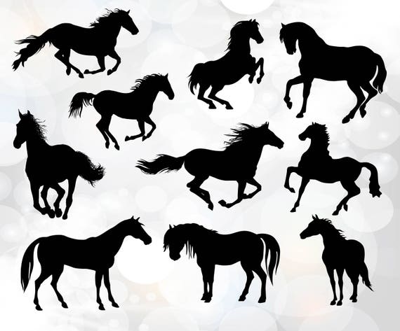 Download Horse Svg Silhouettes Running Horses Svg Collection Horses Etsy PSD Mockup Templates