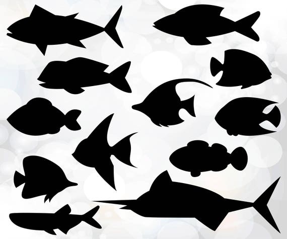 Download Fish Svg Bundle Fish Svg Cut Files Fish Clipart Svg Png Etsy