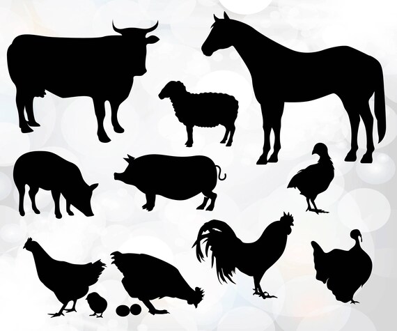 Download Farm Animal Svg Animal Silhouette Collection Animal Cut Etsy PSD Mockup Templates