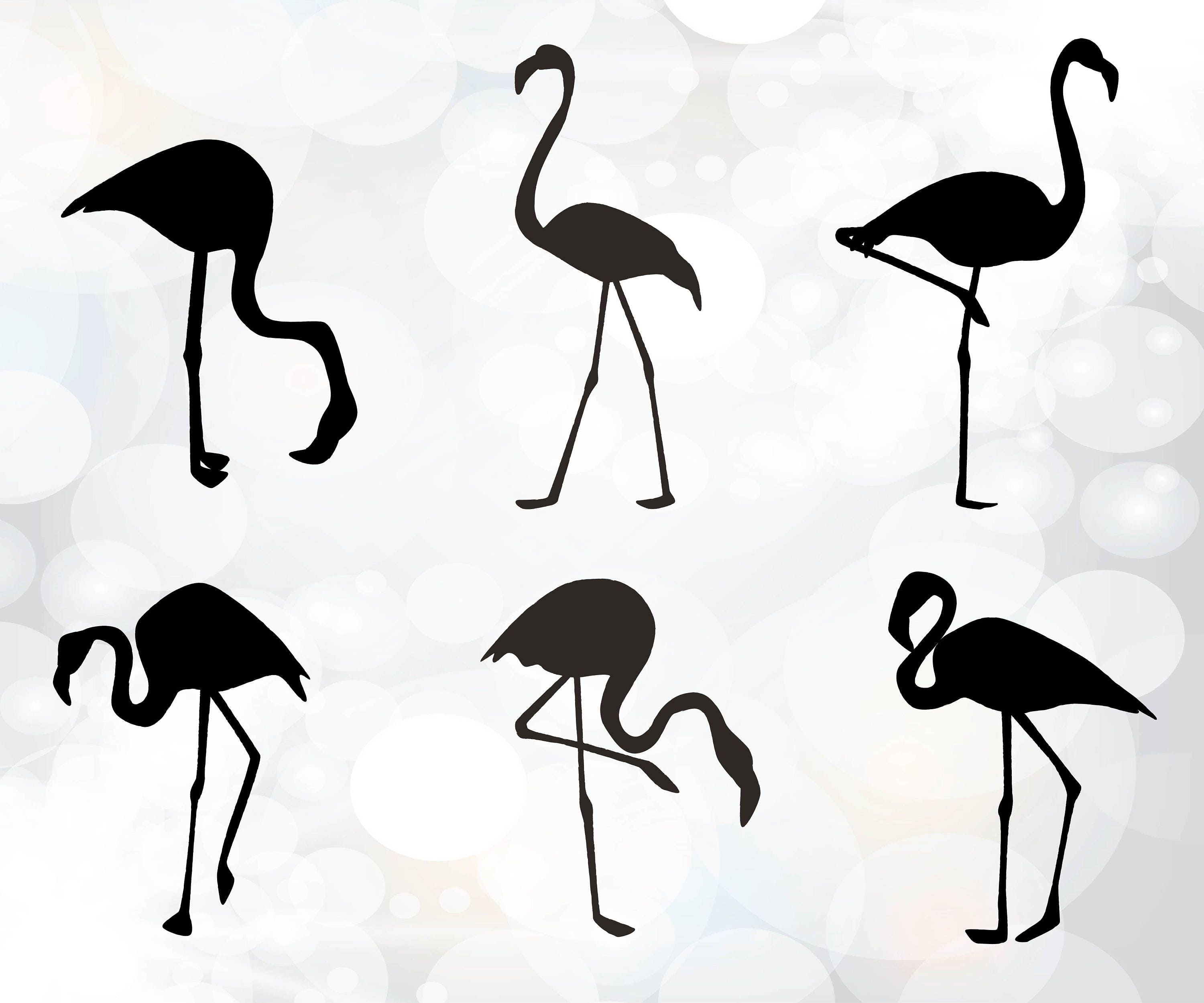 Download Flamingo SVG Cut Files Monogram Frames for Vinyl Cutters ...