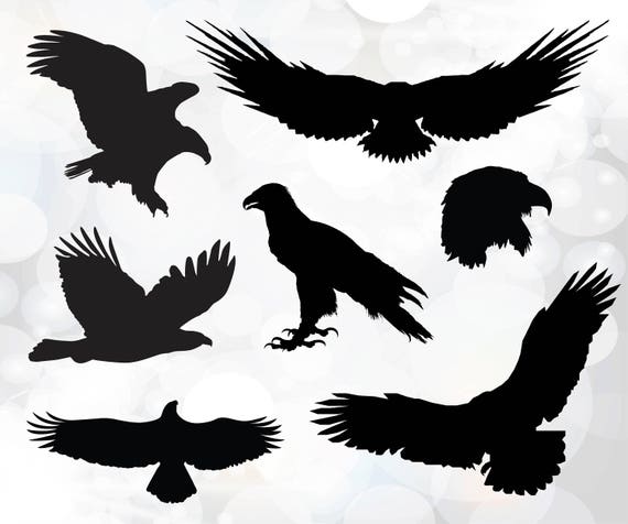 Download Eagle Svg Bald Eagle Svg Fly High Graphic Eagle Vector Etsy
