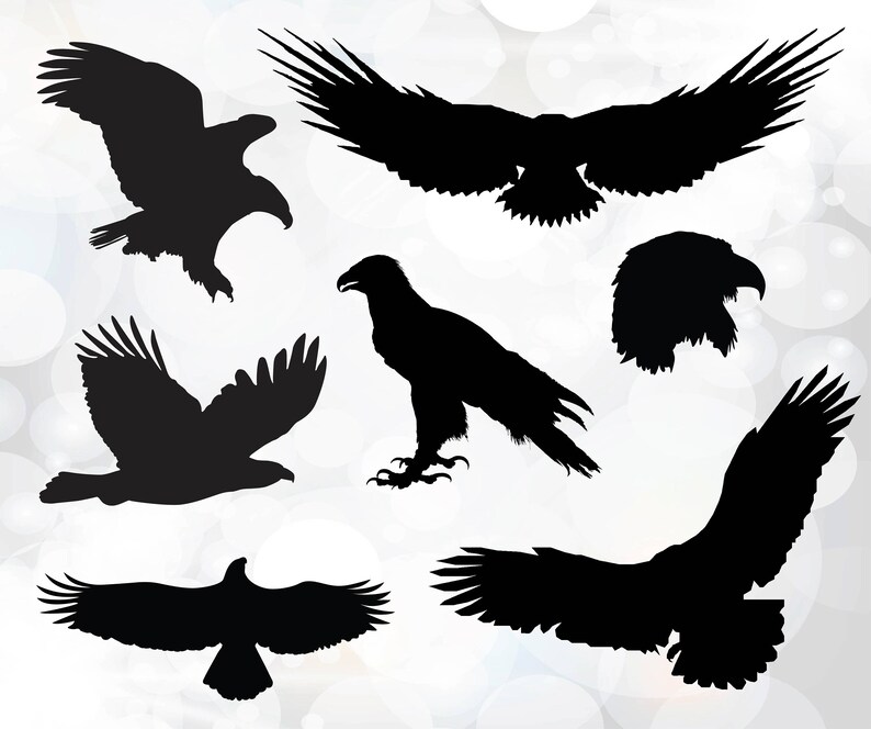 Eagles Svg