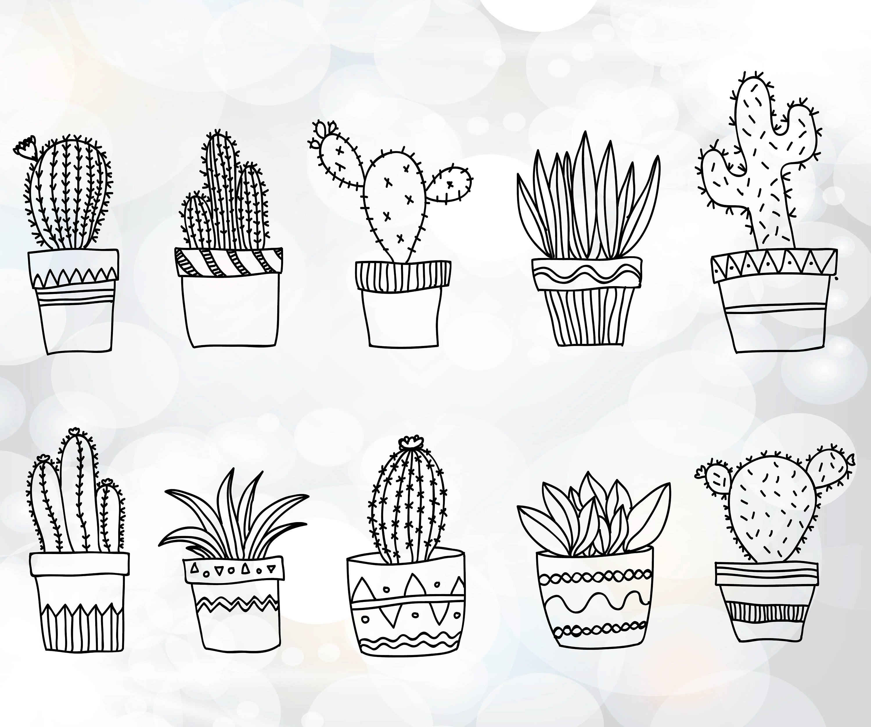 Download Free Paper Succulent Svg