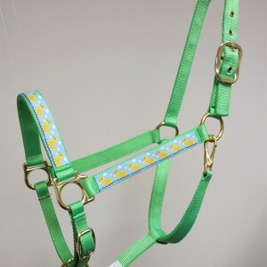 May include: Green horse halter with a yellow duck pattern. The halter has a gold buckle and rings.