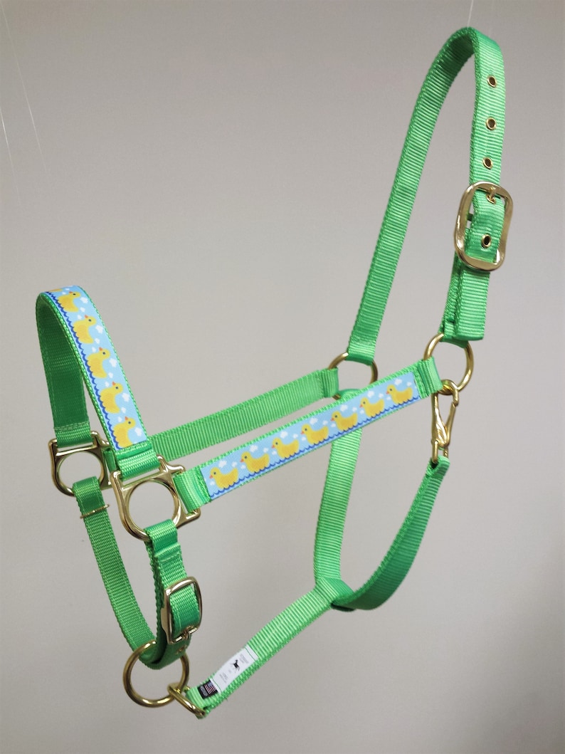 May include: Green horse halter with a yellow duck pattern. The halter has a gold buckle and rings.