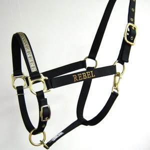 Personalized Narrow Rodeo Square Horse Halter, Embroidered Draft Horse Halter, Custom Horse Halter, Western Breakaway Halter