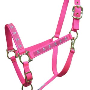 May include: A pink horse halter with a skull and crossbones design. The halter has a gold buckle and rings.
