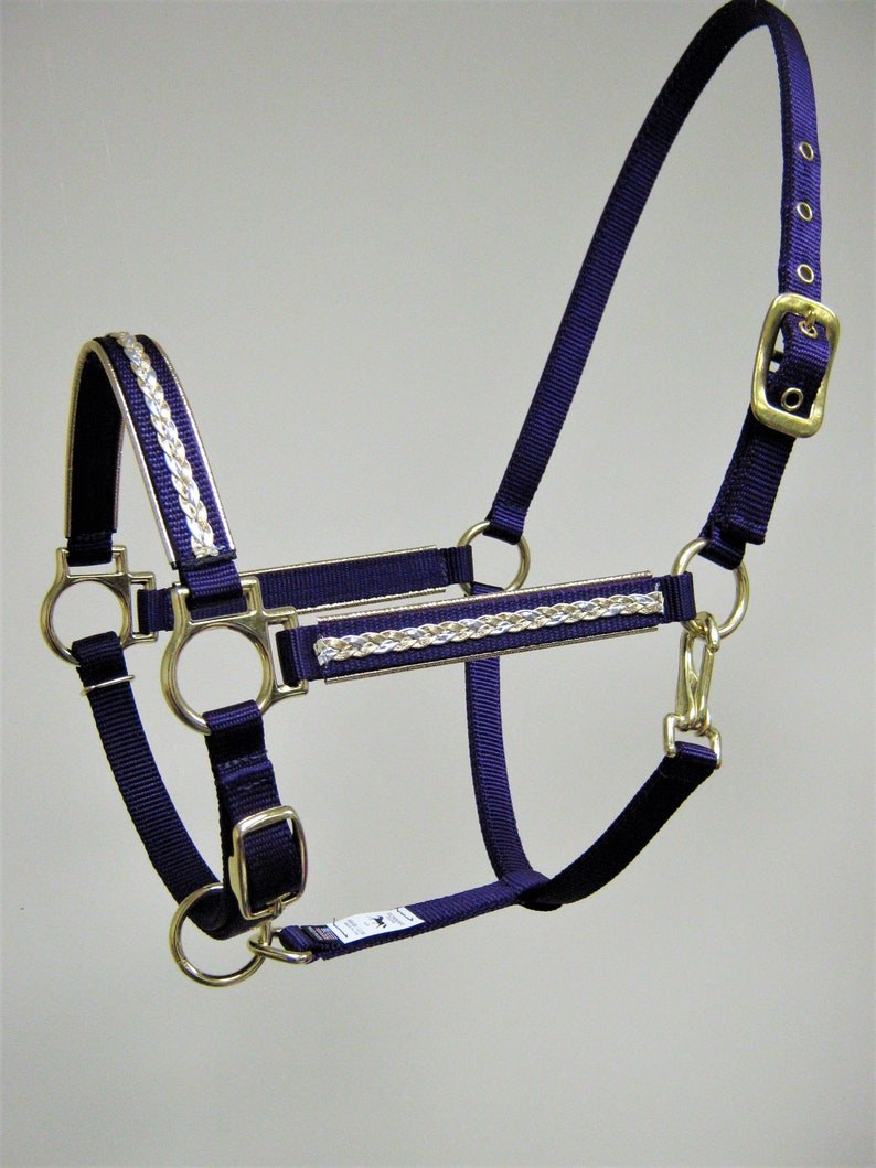 Braid Piping Horse Halter Gold Braid Draft Horse Halter Etsy