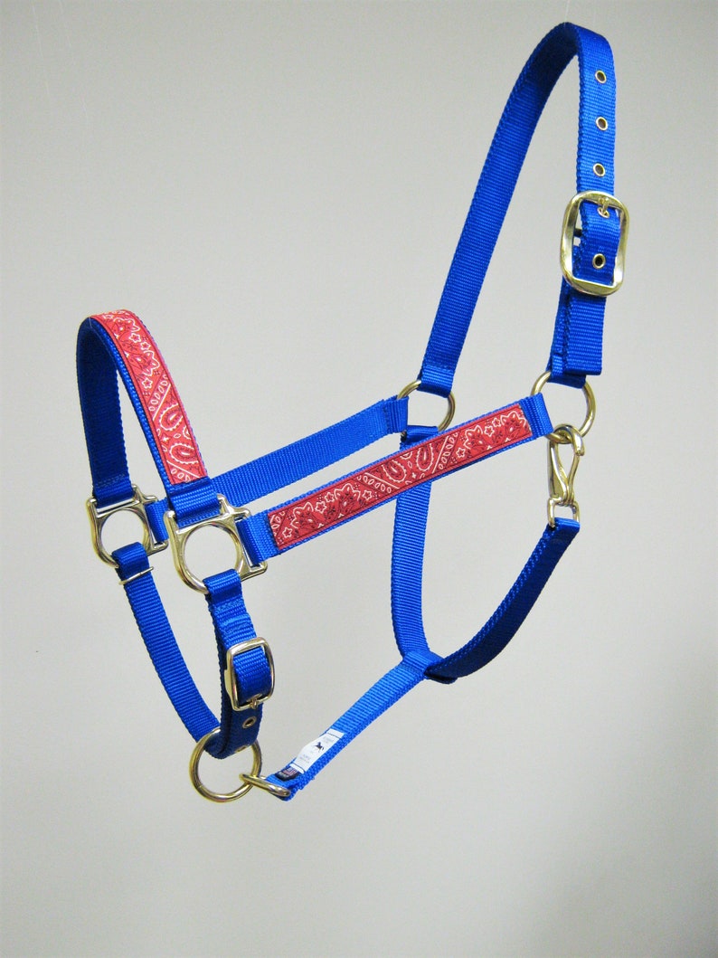 Puede incluir: Un cabezal azul para caballo con un patr&oacute;n de bandana rojo. El cabezal tiene una hebilla y anillos de lat&oacute;n.