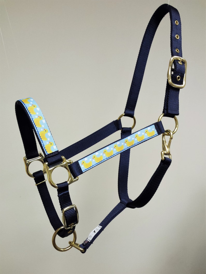 May include: A navy blue horse halter with a yellow rubber ducky pattern on the noseband. The halter has gold-colored hardware.