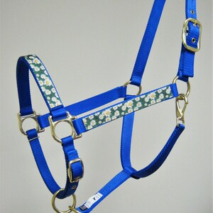 May include: A blue horse halter with daisy patterned accents. The halter features adjustable straps, metal hardware, and a snap closure. The daisy pattern is white and yellow on a green background.