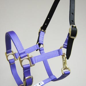Leather Crown Mini Horse Halter, Breakaway Crown Horse Halter, Leather Crown Breakaway Horse Halter