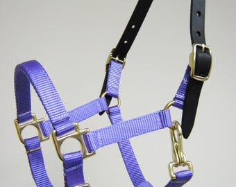 Têtière De Licol En Cuir Noir – Taille Cheval – Prête à L’emploi – TWO HORSE TACK