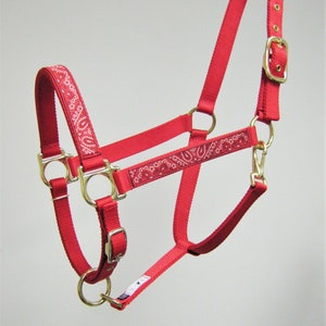 Puede incluir: Un cabezal rojo para caballo con un patr&oacute;n de paisley. El cabezal tiene una hebilla y anillos de lat&oacute;n.