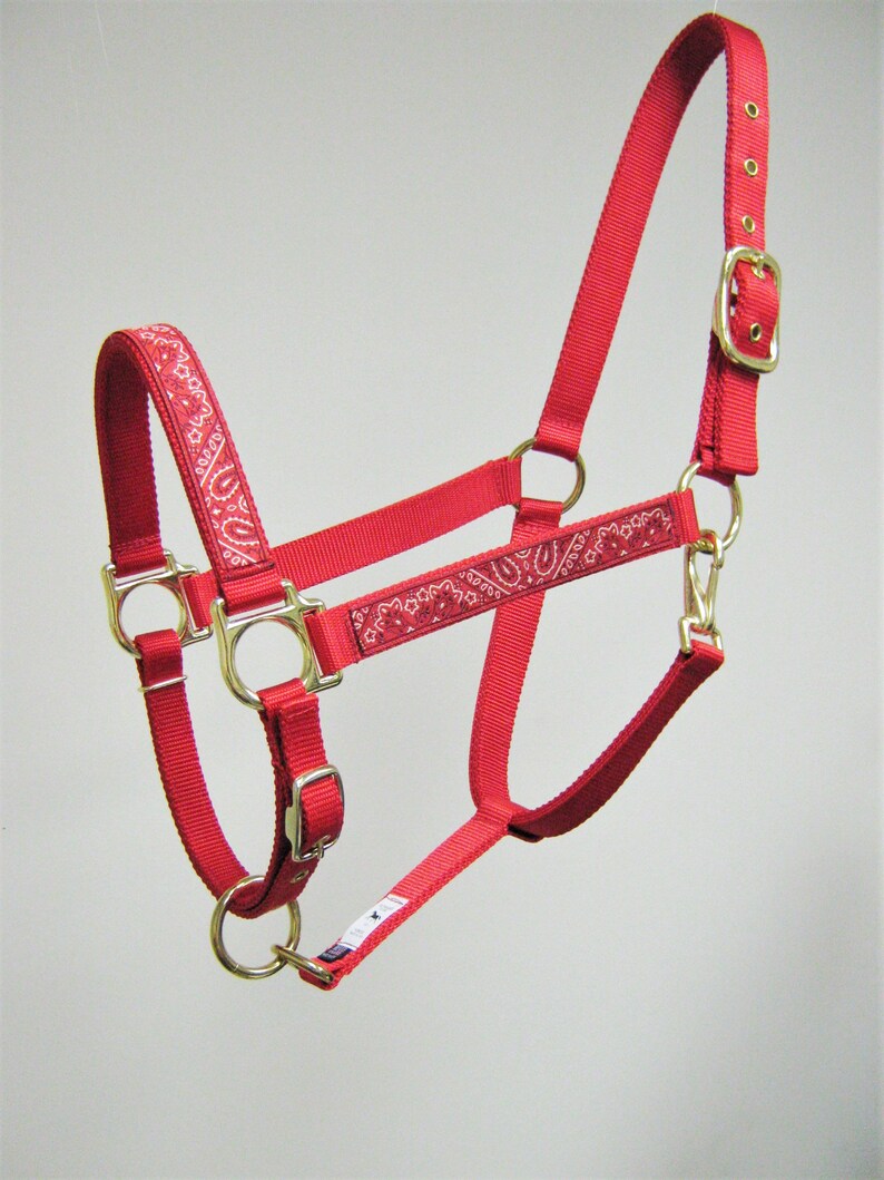 Puede incluir: Un cabezal rojo para caballo con un patr&oacute;n de paisley. El cabezal tiene una hebilla y anillos de lat&oacute;n.