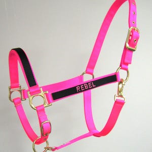 Personalized Two Colored Horse Halter, Embroidered Stall Colors Draft Horse Halter, Bright Custom Horse Halter, Breakaway Halter with Name
