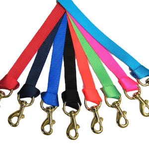 Flat nylon lead with loop for replaceable snap, replaceable snap leads with snap