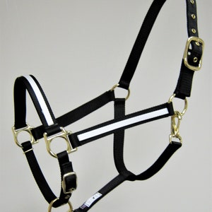 Two Tone Horse Halter, Two Colored Horse Halter,  2 Colored Draft Halters, Custom Large Horse Halter, Barn Color Mini Halter
