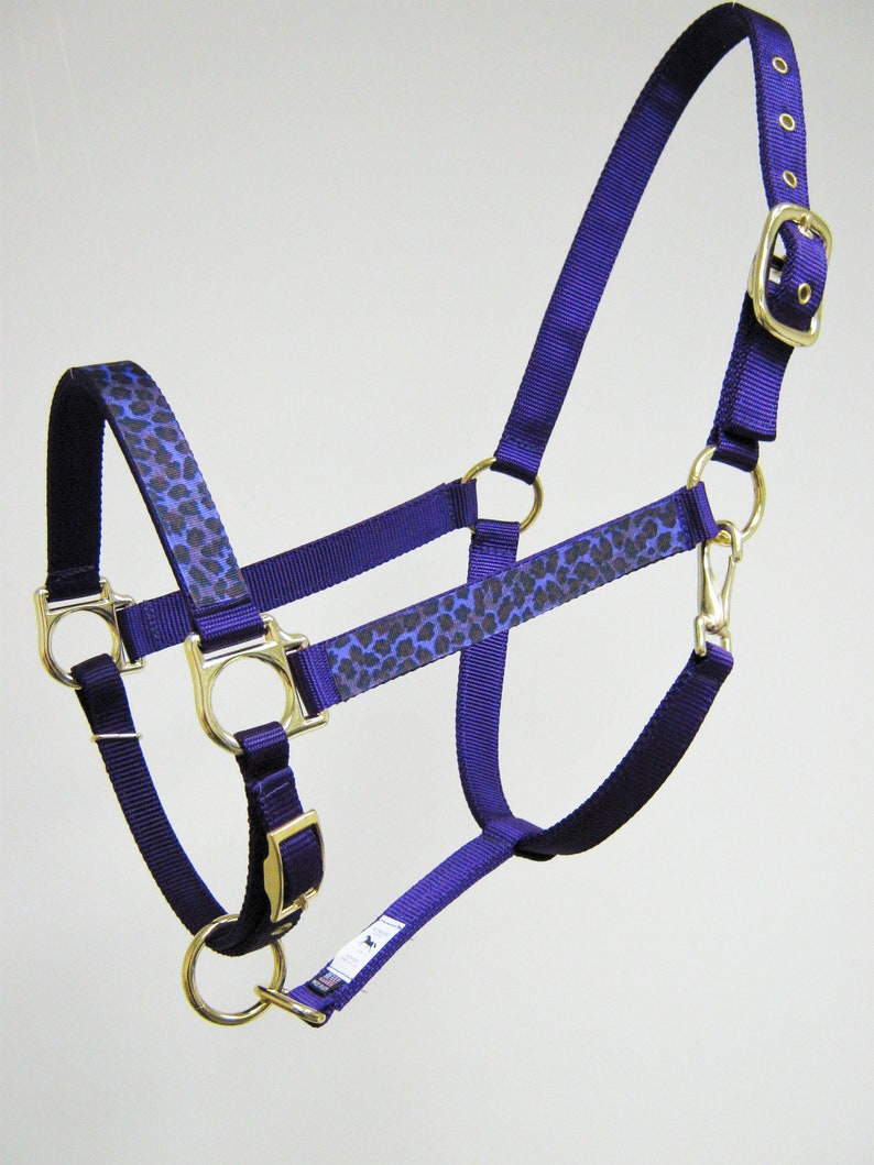 Leopard Design Horse Halter, Cheetah Draft Halter, Rainbow Leopard Pony Halter, Designer Mini Horse Halters, Custom Horse Halters Purp Leopard Purple