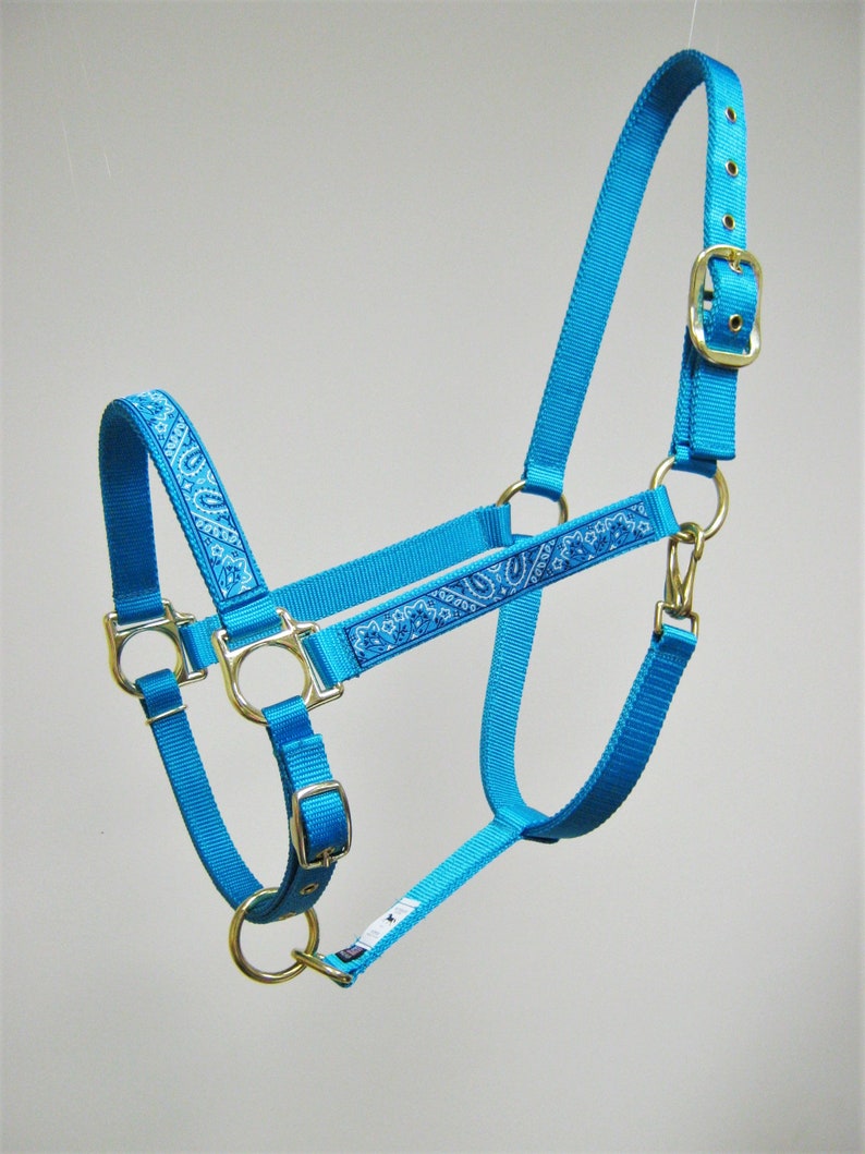 Puede incluir: Un cabezal de caballo azul turquesa con un patr&oacute;n de paisley. El cabezal tiene una hebilla de lat&oacute;n y dos anillos de lat&oacute;n.