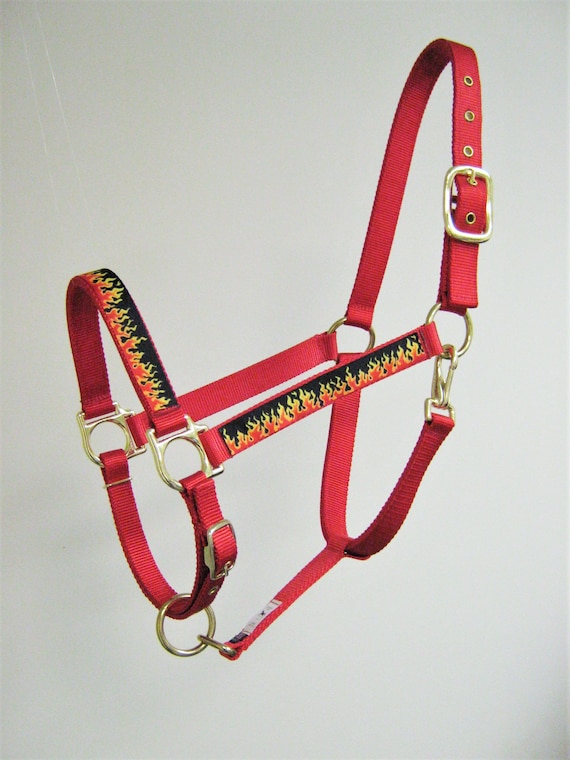 Orange Bronc Halter – Twisted T Tack
