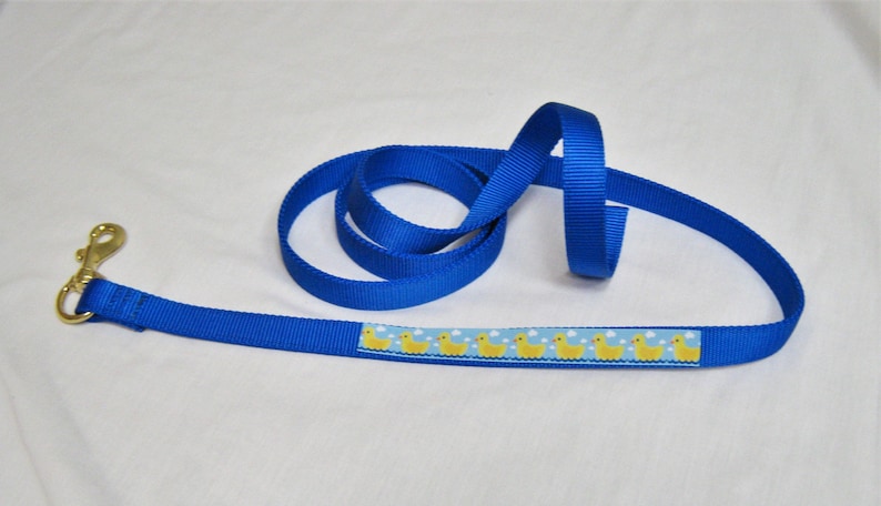 May include: A blue dog leash with a yellow rubber ducky pattern. The leash has a gold metal clip.
