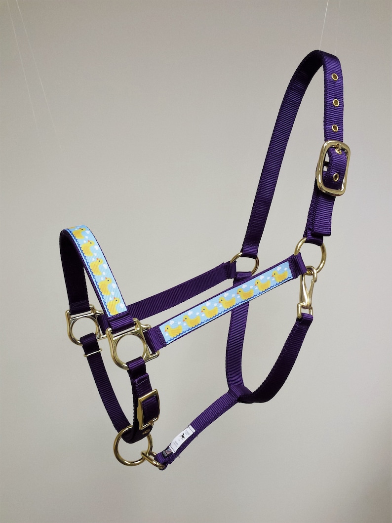 May include: Purple horse halter with a blue and yellow duck pattern. The halter has a gold buckle and rings.