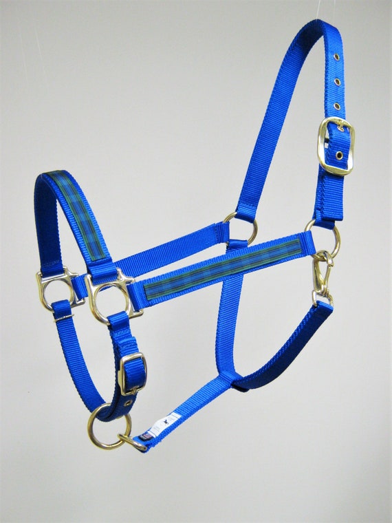 Western Saddles & Tack Sporting Goods Hamilton draft horse halter 1