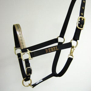 May include: Black horse halter with gold-colored hardware and the word "REBEL" embroidered in gold thread. The halter features a decorative silver-colored band on the crown piece. Includes adjustable straps and a snap hook.
