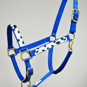 May include: Blue horse halter with a black and white cow print design. The halter has gold hardware and a buckle.