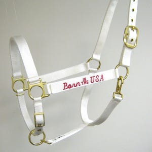 Born in the USA Horse Halter, 4th July Draft Halter, Fun Holiday Horse Halters, Leather Crown Horse Halter, Custom Holiday Horse Halters