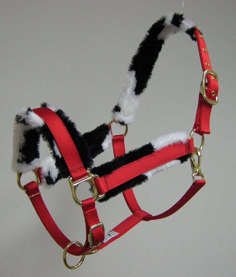 May include: Red horse halter with black and white faux fur trim. The halter has a brass buckle and rings.