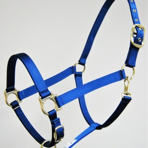 Quality Horse Halter, Nylon Horse Halter, Nylon Draft Halter, Nylon Pony Halter, Mini Horse Halters, Arab Halters, Baby Horse halters