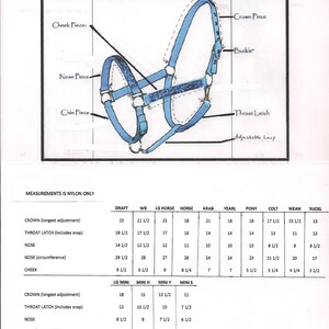 May include: A diagram showing the parts of a horse halter, including the crown, throat latch, nose, cheek, and buckle. The halter is blue with a leopard print pattern. Measurements for different horse sizes are listed in a table below the diagram.